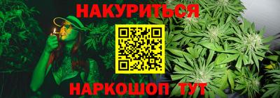 крисы Ливны