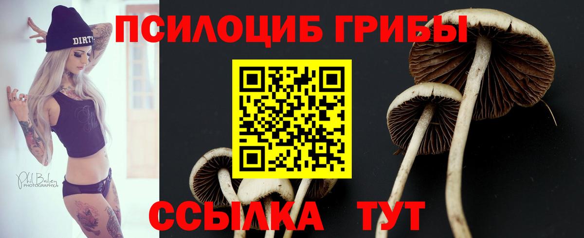 Псилоцибиновые грибы мухоморы Воркута